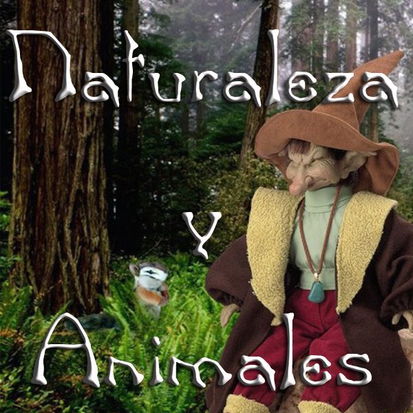 NATURALEZA Y ANIMALES elfos de la naturaleza y para los animales